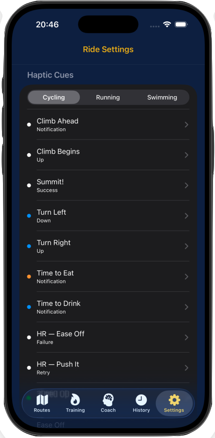 Cycling haptic cues settings